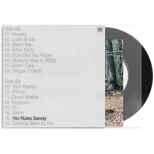 Sylvan Esso - No Rules Sandy ( VINYL )