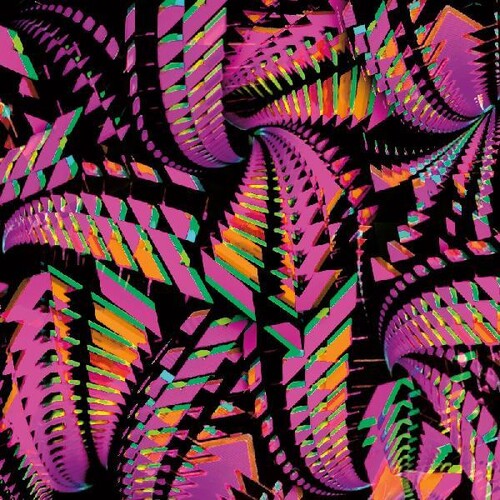 Bitchin Bajas: Bajascillators - Vinyl