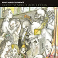 Black Jesus Experience: Good Evening Black Buddha - CD