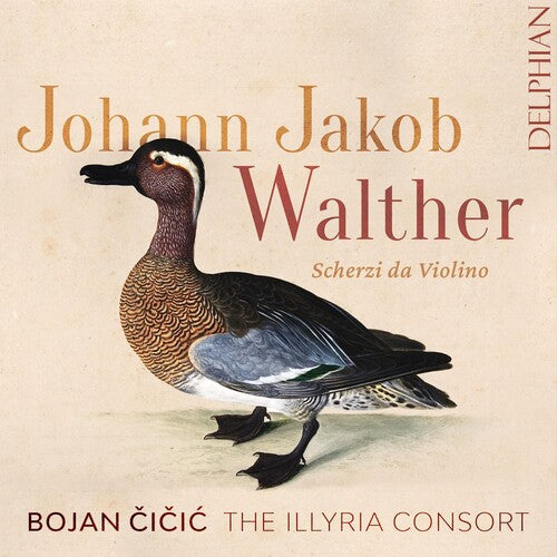 Bojan Cicic: Johann Jakob Walther: Scherzi Da Violino Solo  ( CD )
