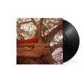 Backseat Lovers - Waiting To Spill ( VINYL )