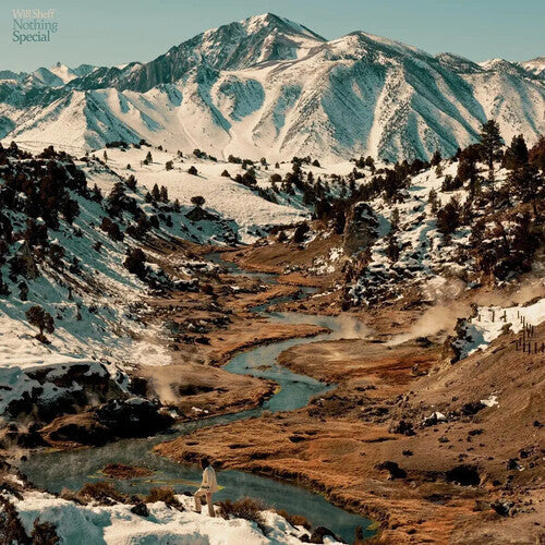 Will Sheff - Nothing Special ( VINYL )