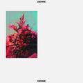 Dienne: Addio - Vinyl