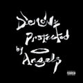 Nav: Demons Protected By Angels  ( CD )