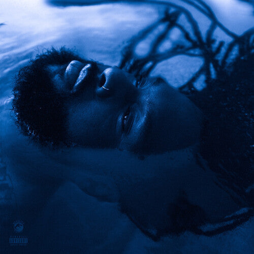 Rexx Life Raj - The Blue Hour ( VINYL )