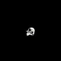 Galcher Lustwerk: 100% Galcher - Milky Gray - Vinyl