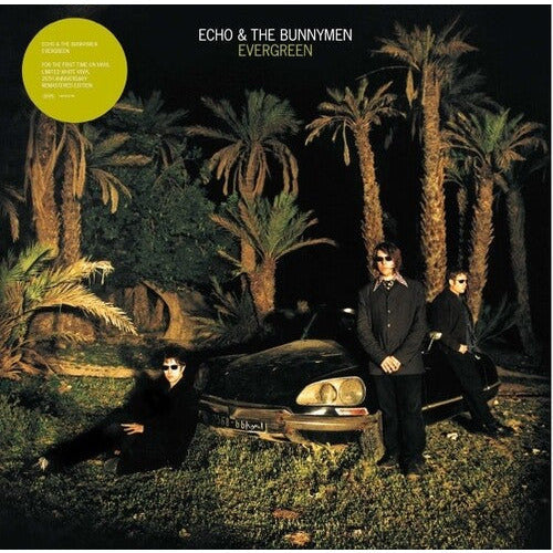 Echo & the Bunnymen - Evergreen ( VINYL )