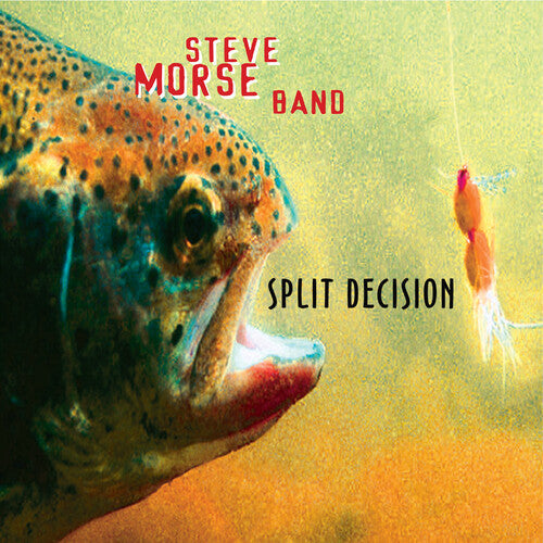 Steve Morse Band: Split Decision - VINYL