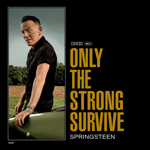 Bruce Springsteen - Only The Strong Survive ( VINYL )