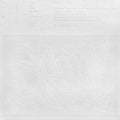 Popp: Blizz - Vinyl