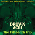 Various Artists: Brown Acid - The Fifteenth Trip (Various Artists) - VINYL