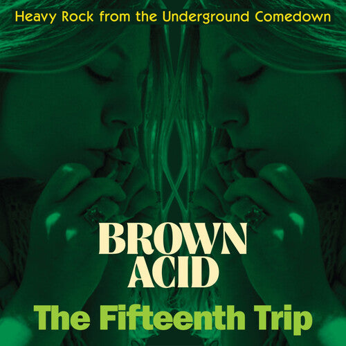 Various Artists: Brown Acid - The Fifteenth Trip (Various Artists) - VINYL
