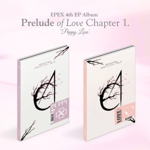 Epex: Prelude Of Love Chapter 1. Puppy Love - Random Cover - incl. Photo Book, Lyric Poster, 16 Photo Card Set, 8 Tin Soldier Card Set + Sticker - CD