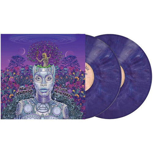 Erykah Badu - New Amerykah Part Two ( VINYL )