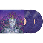 Erykah Badu - New Amerykah Part Two ( VINYL )