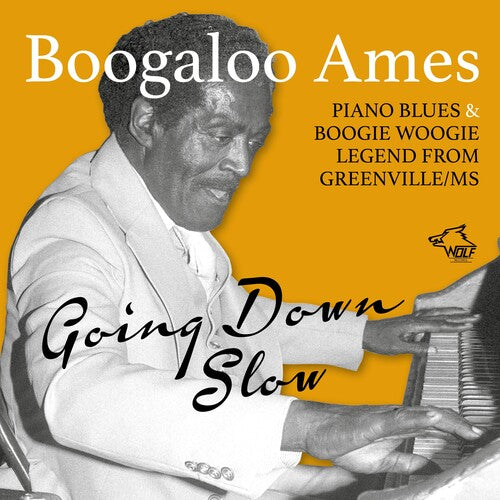 Ames Boogaloo: Going Down Slow  ( CD )