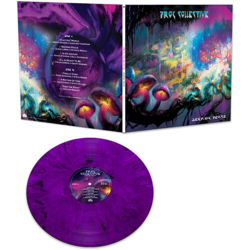 The Prog Collective - Seeking Peace  ( VINYL )
