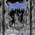 Infested: Grotesque Remains - CASSETTES