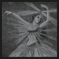 Neutral Milk Hotel - The Collected Works - Boxed Set LP