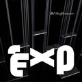 DJ Shufflemaster: EXP - Vinyl