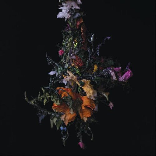 BIG/BRAVE - Nature Morte ( VINYL )