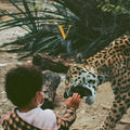 Unknown Mortal Orchestra - V ( VINYL )