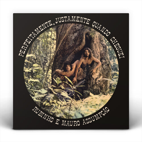 Rubinho e Mauro Assumpcao - Perfeitamente, Justamente Quando Cheguei ( VINYL )