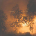 Watchhouse: Blindfaller  ( CD )