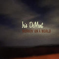 Iris DeMent: Workin' On A World  ( CD )