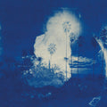 Fruit Bats -  A River Running to Your Heart ( VINYL )
