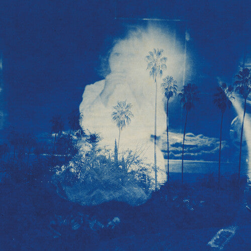 Fruit Bats -  A River Running to Your Heart ( VINYL )