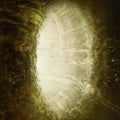 Omega Infinity: THE ANTICURRENT - VINYL