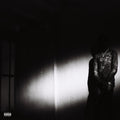 Destroy Lonely - No Stylist ( VINYL )