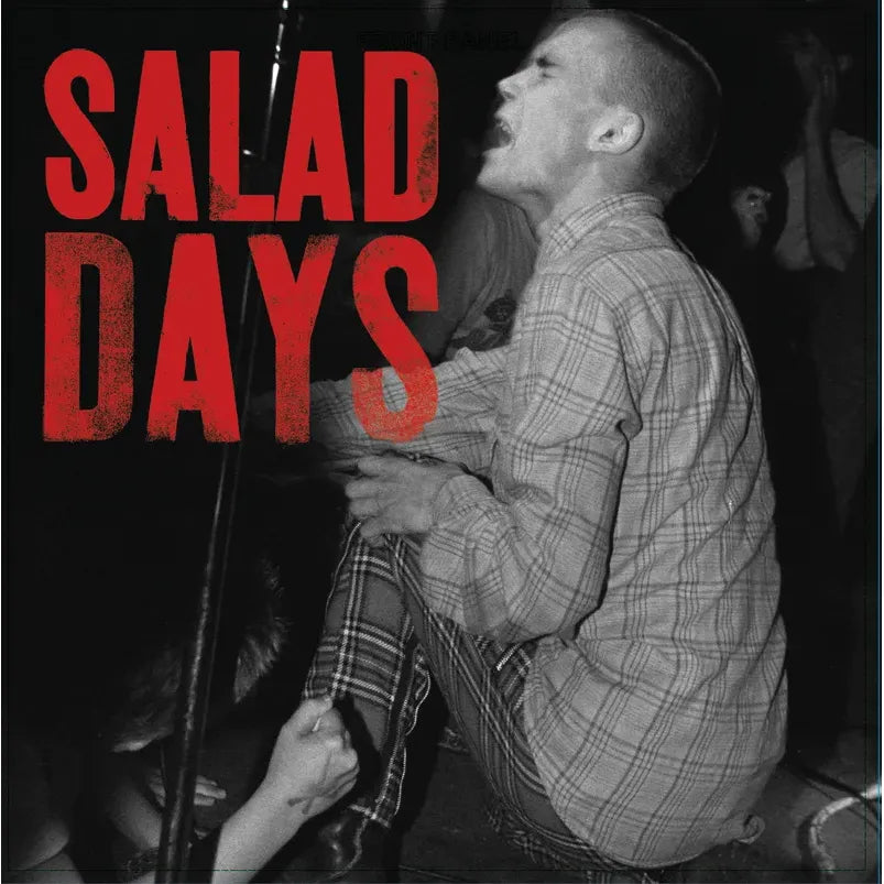 Salad Days: Music From The Documentary Film - Various Artists - RSD LP