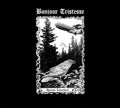 Bonjour Tristesse: Against Leviathan - CD