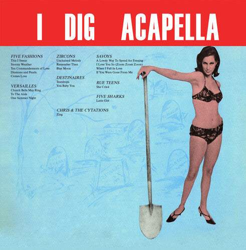 Various Artists: IDigAcappella(2023Remaster) - CD