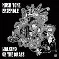 Mush Tone Ensemble: Walking On The Grass - VINYL