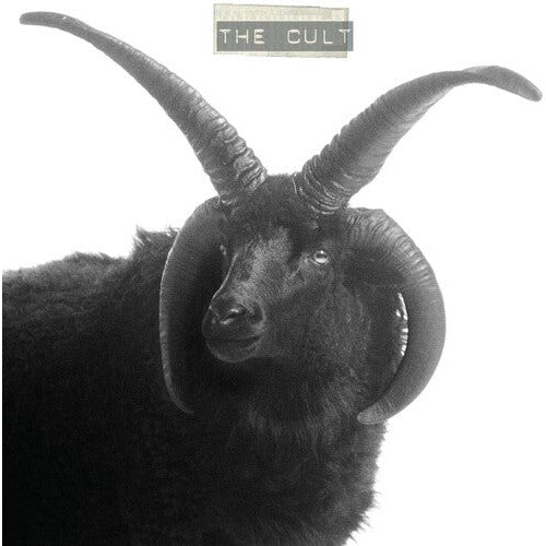 The Cult - The Cult ( VINYL )