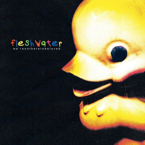 Fleshwater: We're Not Here To Be Loved - CD