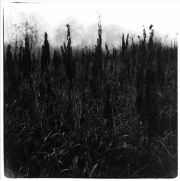 Bennet, David / Bromander, Vilhelm: Within Reach Of Eventuality  ( CD )