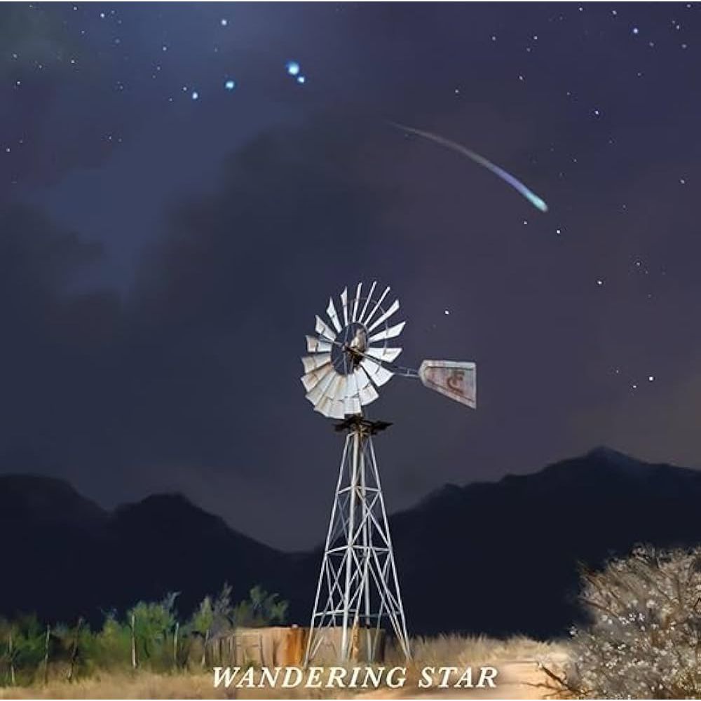 Flatland Cavalry - Wandering Star ( VINYL )