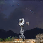 Flatland Cavalry - Wandering Star ( VINYL )
