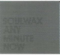 Soulwax: Any Minute Now - VINYL