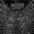 Ascended Dead: Evenfall Of The Apocalypse - Silver/black/white Splatter - VINYL