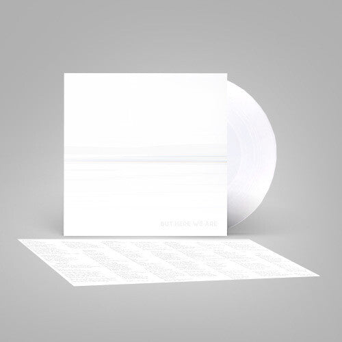 Foo Fighters - But Here We Are ( VINYL )