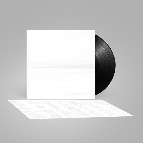 Foo Fighters -  But Here We Are ( VINYL )