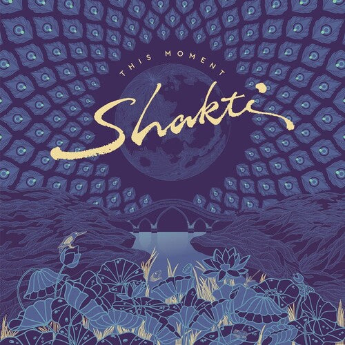 Shakti: This Moment - CD