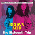 Various Artists - Brown Acid: The Sixteenth Trip ( VINYL )