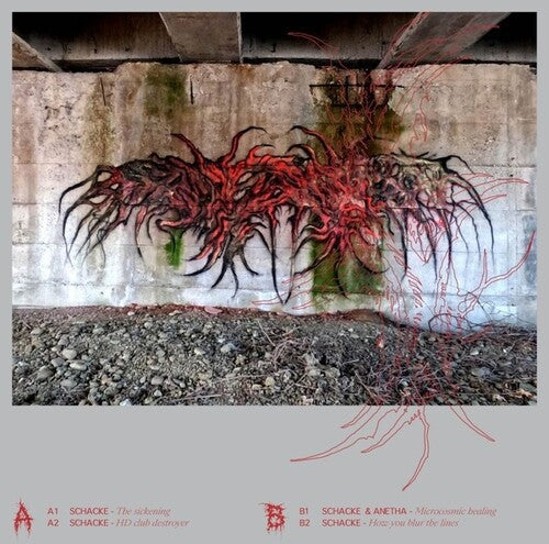 Schacke & Anetha: Looks Are Deceiving - 12-INCH SINGLE