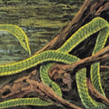 Rainforest Spiritual Enslavement: Green Graves - Vinyl